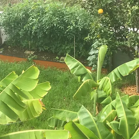 Gæstehus Pura Vida Tenerife