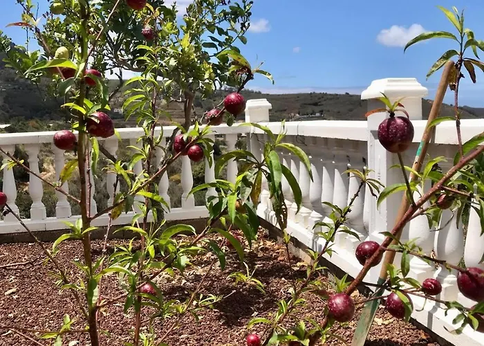 Pura Vida Tenerife Casa de hóspedes 3*