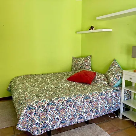 Pura Vida Tenerife Pensionat